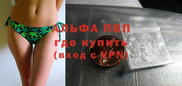 Альфа ПВП Гусиноозёрск