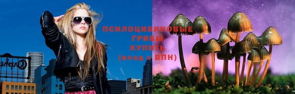 Альфа ПВП Гусиноозёрск