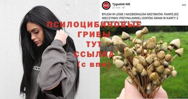 МДМА Гусев